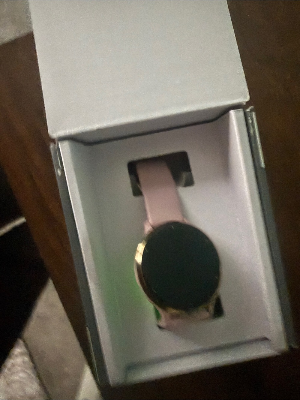 GARMIN VENU 3S
